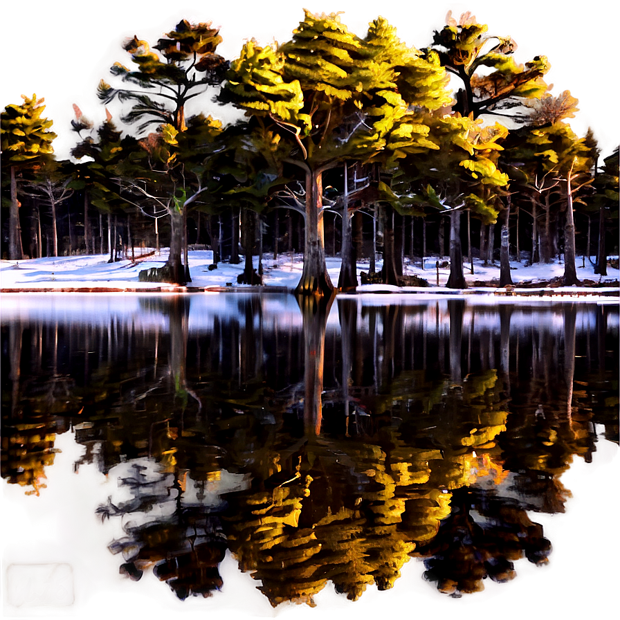 Pine Tree Reflection Water Png 06132024