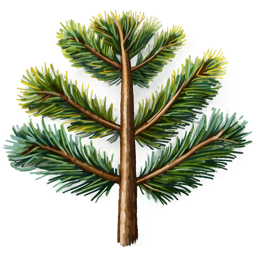 Pine Tree Sketch Png Ton87