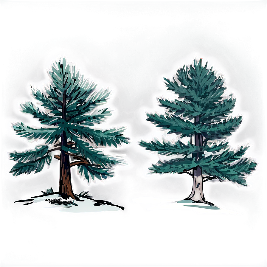 Pine Trees Sketch Png 05252024