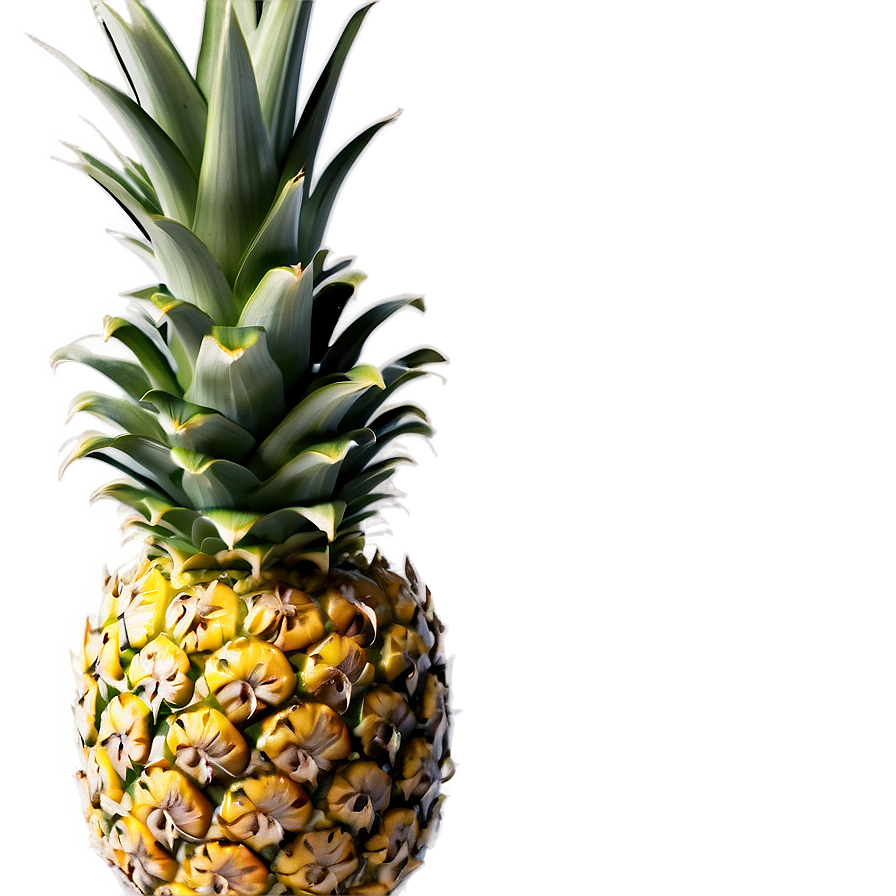 Pineapple Piece Png Wnx91