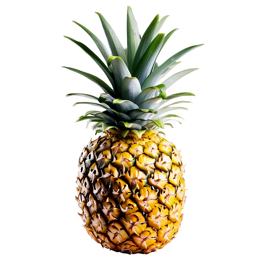 Pineapple Png 87