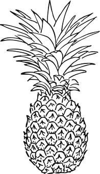 Pineapple Silhouette Outline