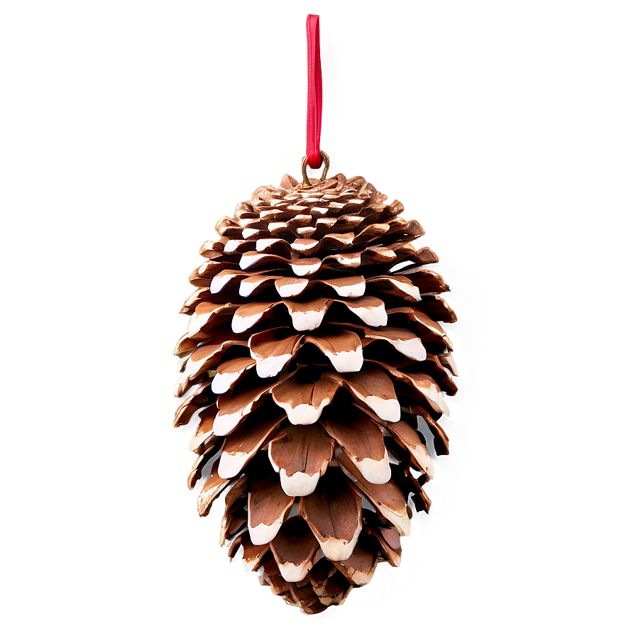 Pinecone Ornament Display Png Tco14