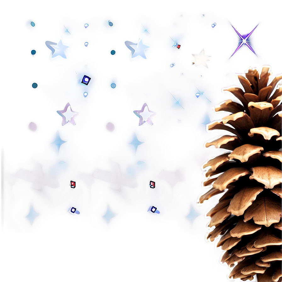 Pinecone Under The Stars Png 06132024