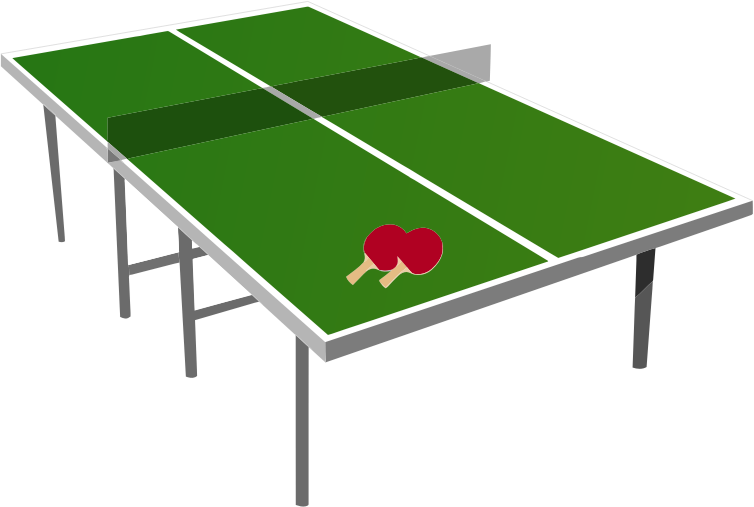 Ping Pong Tableand Paddles