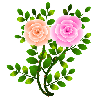 Pink_and_ Peach_ Roses_ Vector_ Illustration