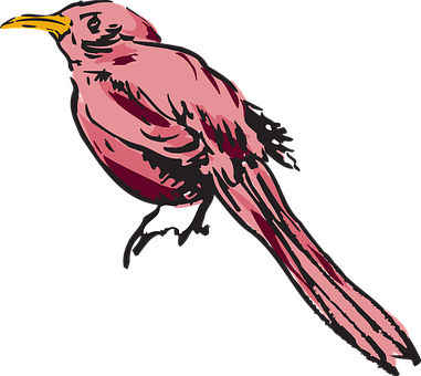 Pink Bird Illustration