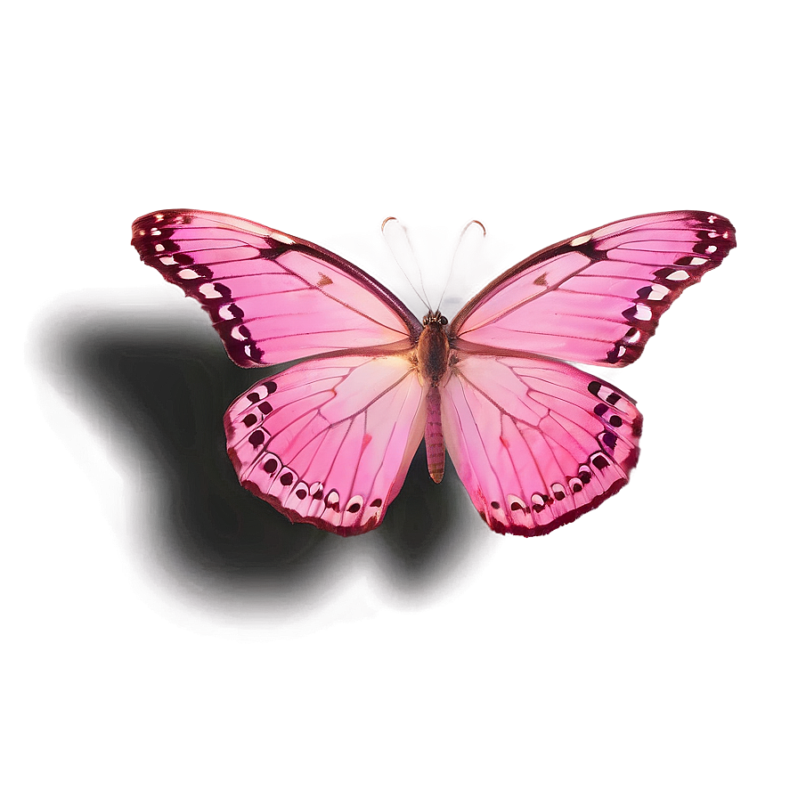 Pink Butterfly In Flight Png Eyg97