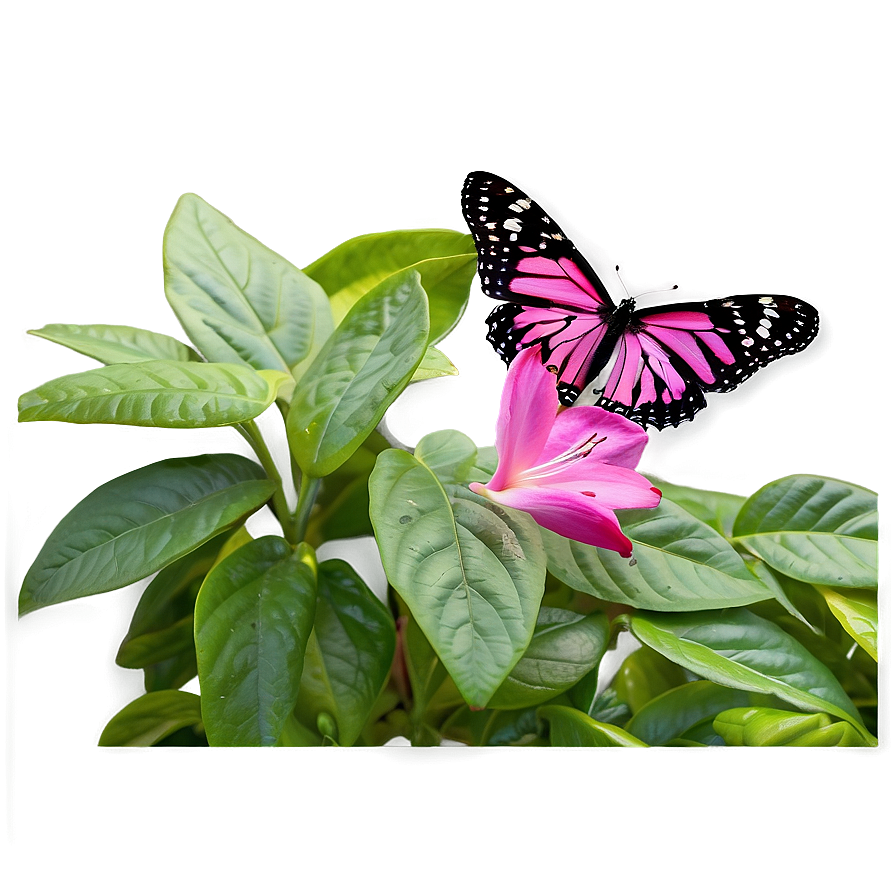 Pink Butterfly In Garden Png 69