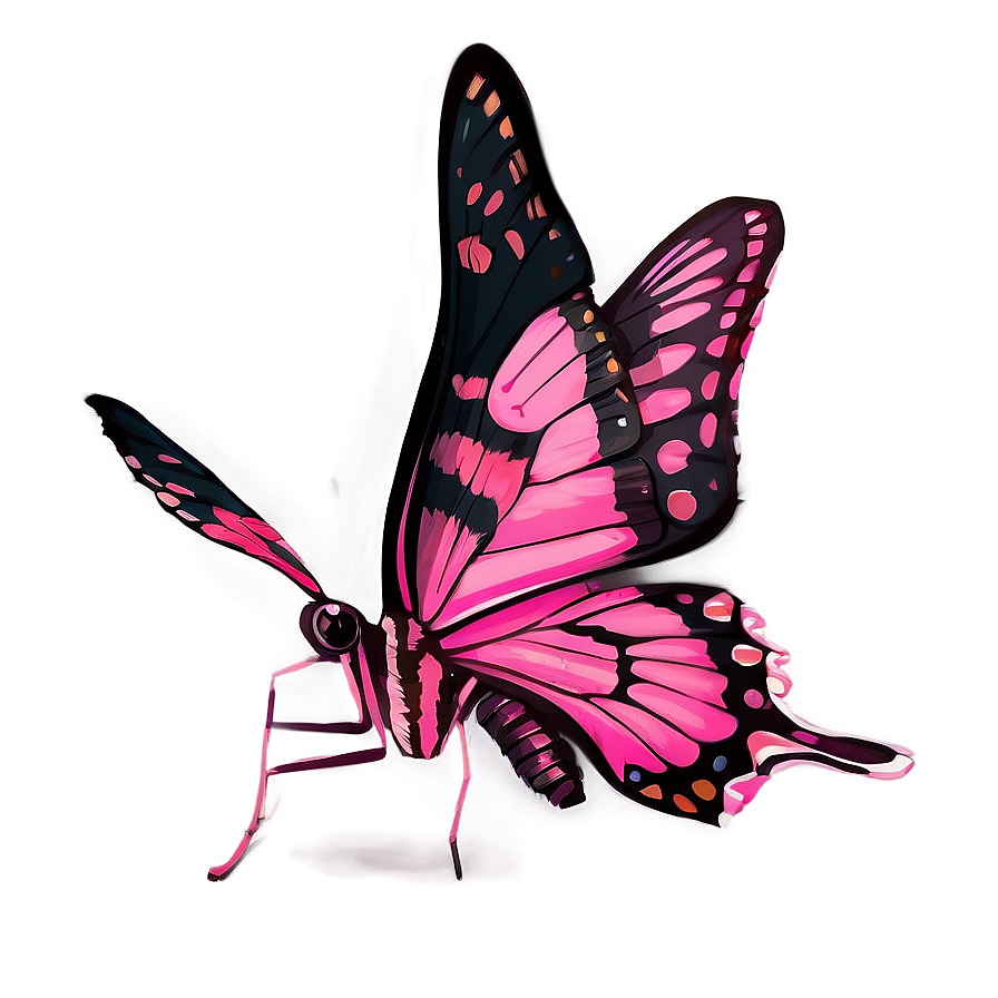 Pink Butterfly Real Life Png 15