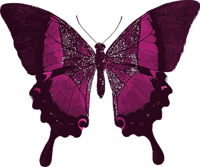 Pink Butterfly Silhouette