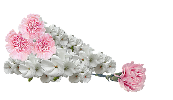 Pink_ Carnations_and_ White_ Flowers_ Arrangement