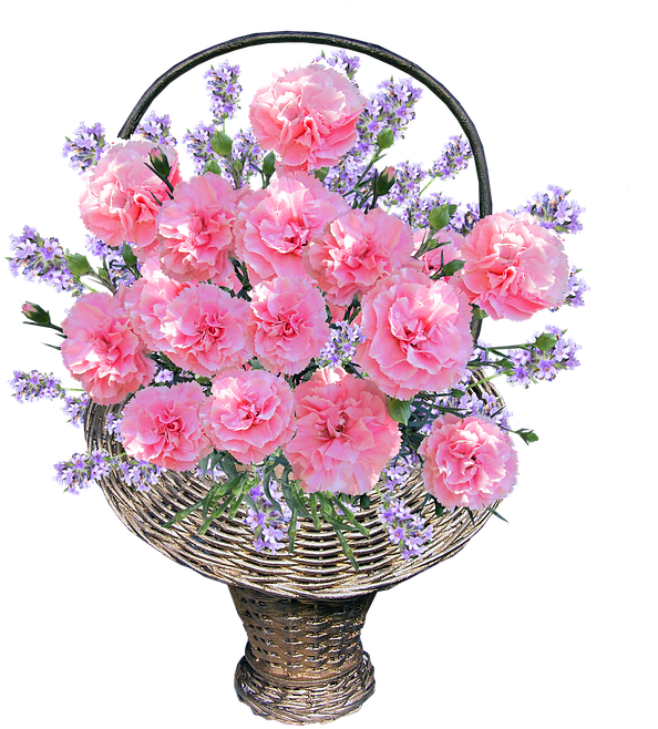 Pink Carnationsin Basket