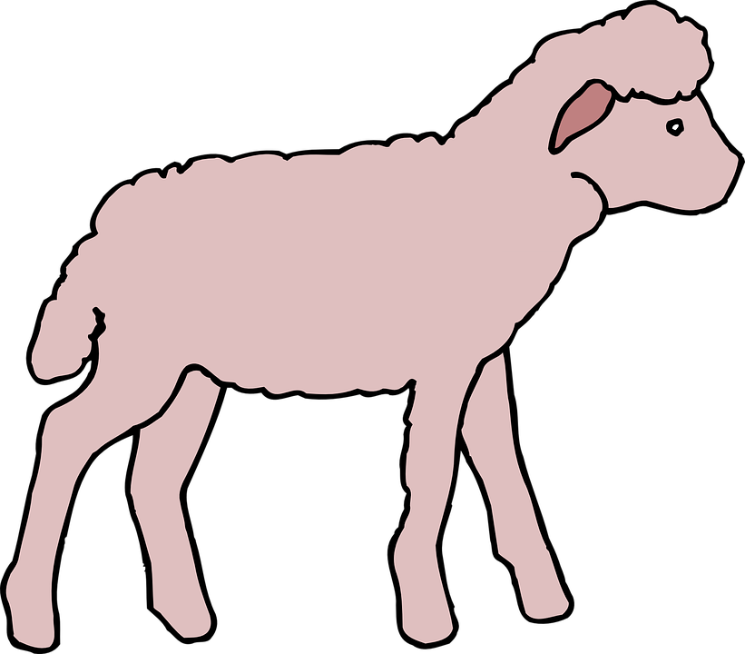 Pink Cartoon Lamb