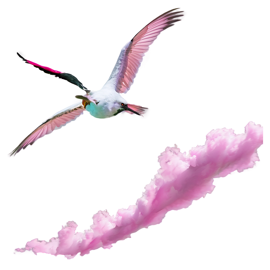 Pink Cloud With Birds Flying Png 93