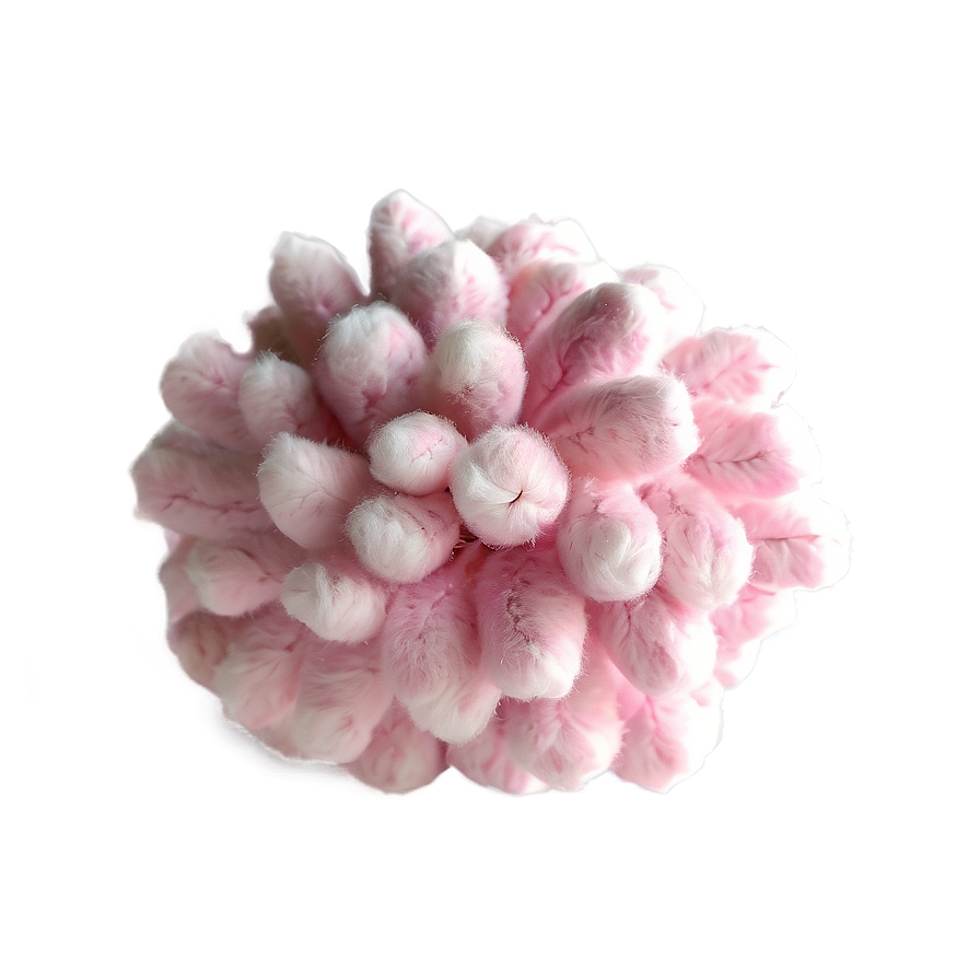 Pink Cotton Puff Png Whf15