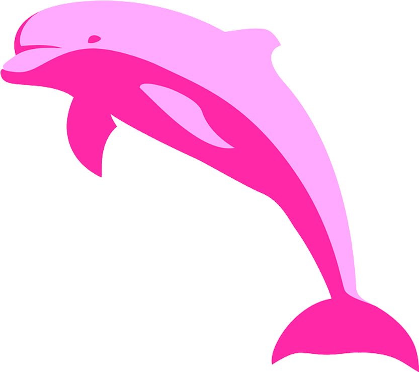 Pink Dolphin Graphic