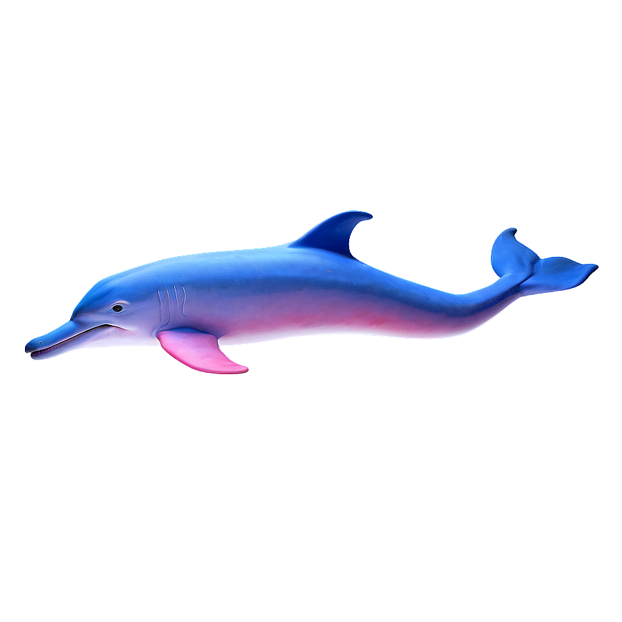 Pink Dolphin Png 74