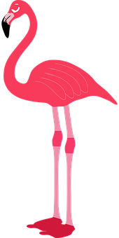 Pink Flamingo Cartoon Illustration