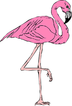 Pink Flamingo Standing One Leg