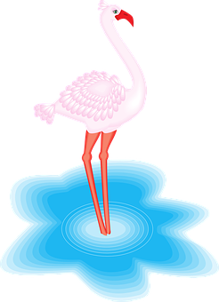 Pink Flamingo Standingin Water