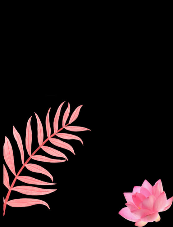 Pink Floral Element Black Background