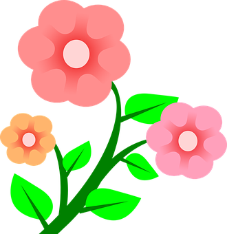 Pink Floral Vector Illustration