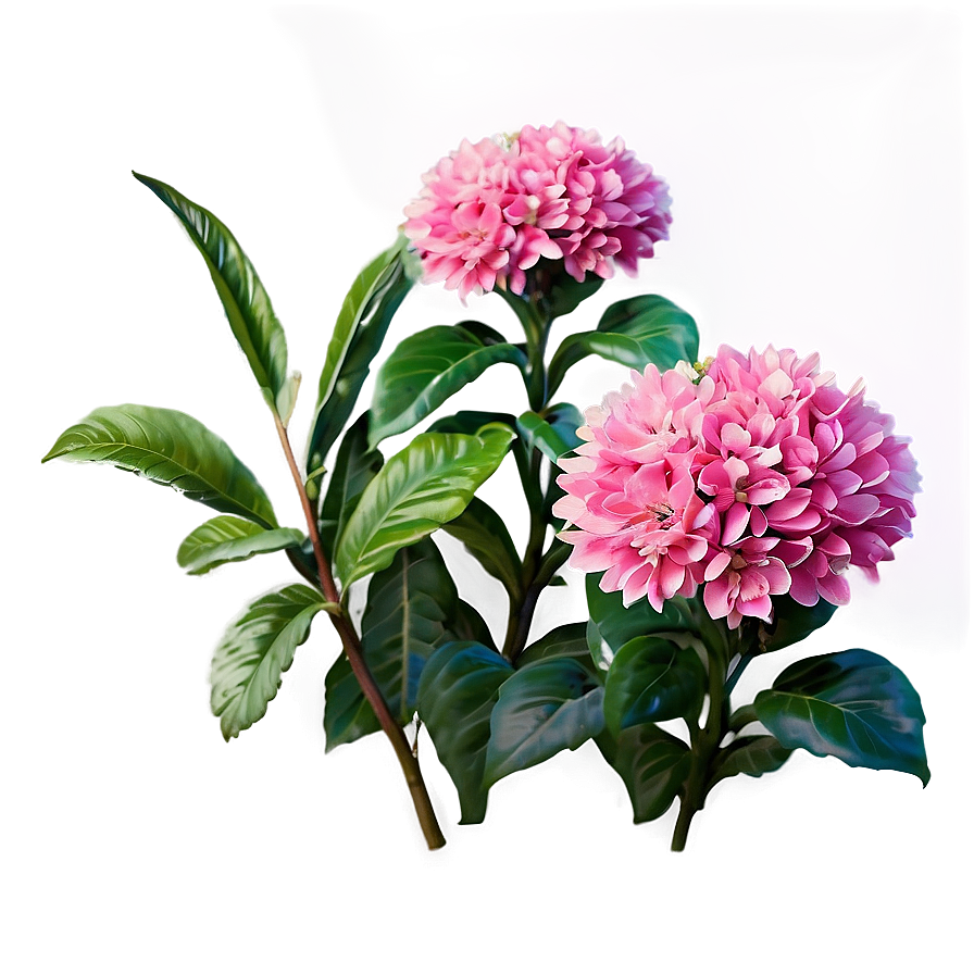 Pink Flower Bush Png 06122024