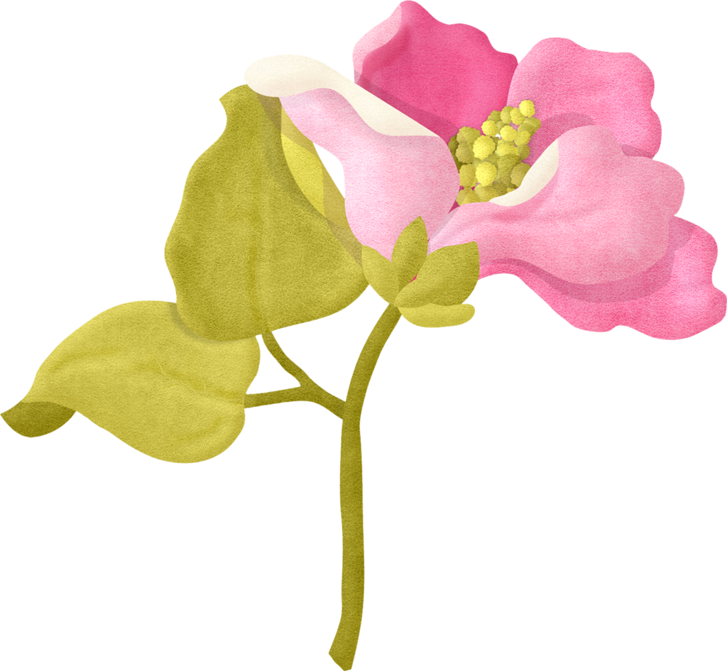 Pink Flower Illustration