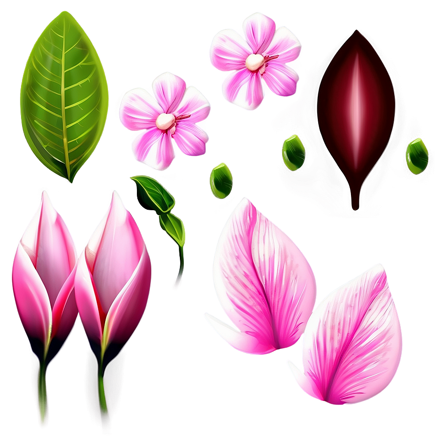 Pink Flower Petal Detail Png Xee40