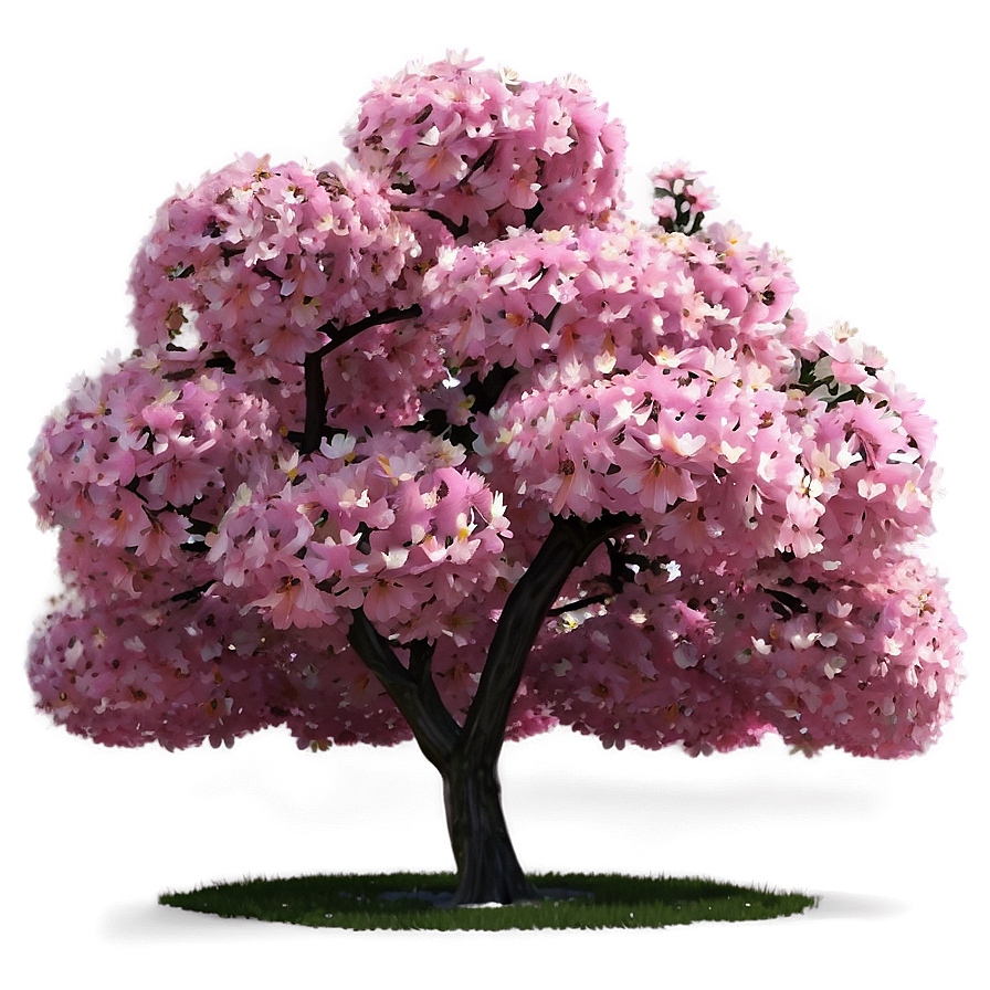 Pink Flower Tree Paradise Png 06282024