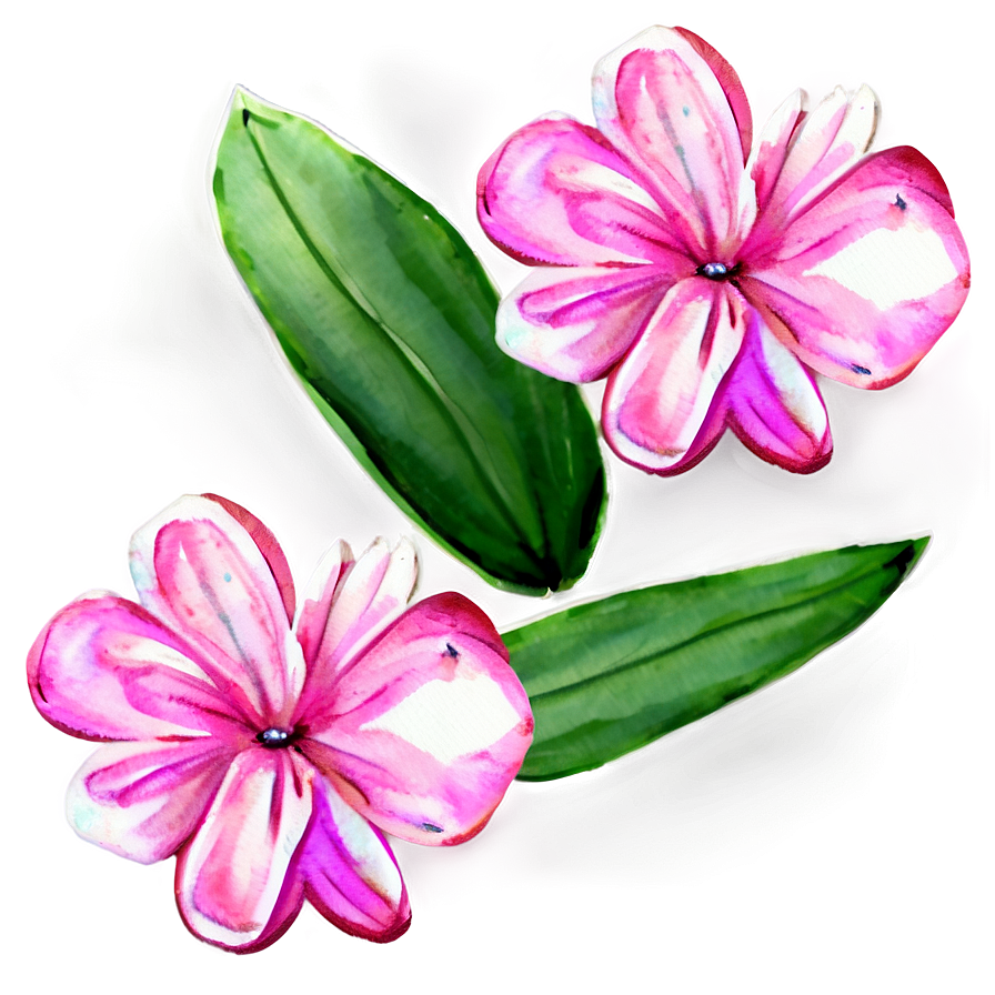 Pink Flowers Watercolor Png Uul