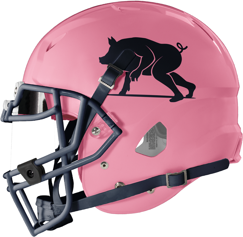 Pink Football Helmetwith Panther Logo