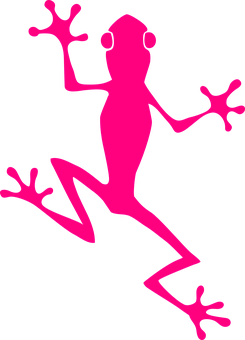 Pink Frog Silhouette Graphic