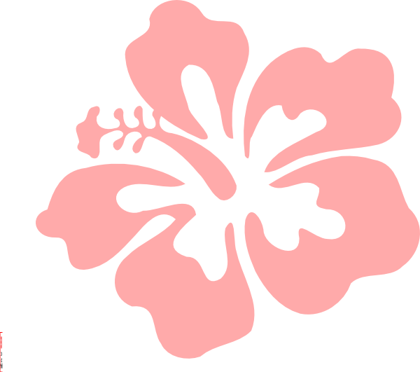 Pink Hibiscus Graphic