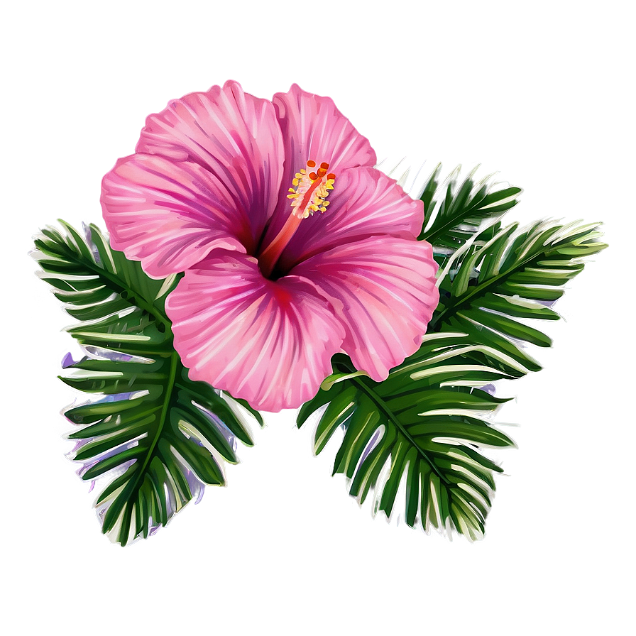 Pink Hibiscus Tropical Png 05242024