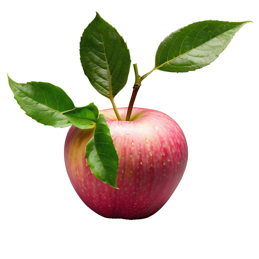 Pink Lady Apple Png 04292024