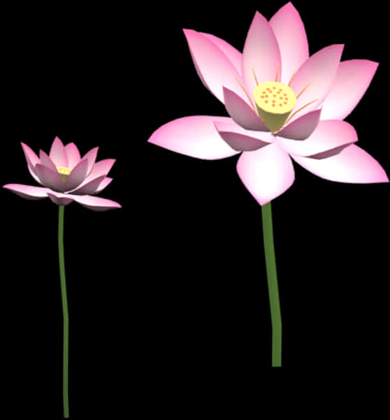 Pink Lotus Flowers Illustration