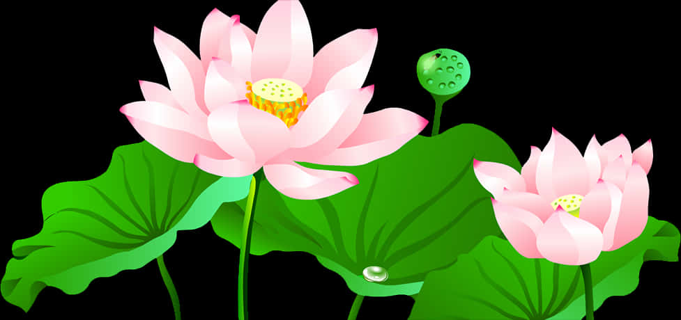 Pink Lotus Flowers Vector Illustration