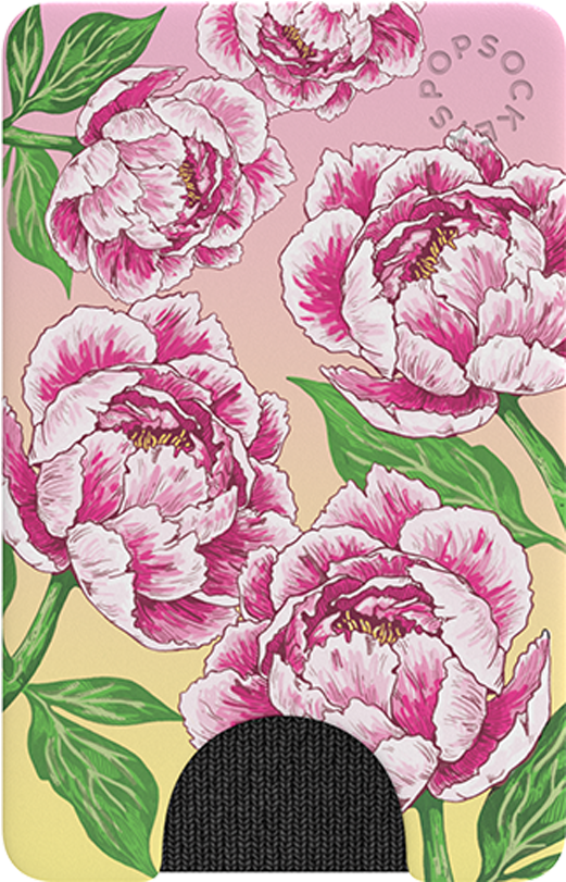 Pink Peony Illustration