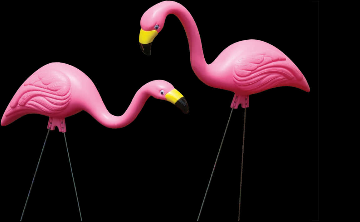 Pink Plastic Flamingos Black Background