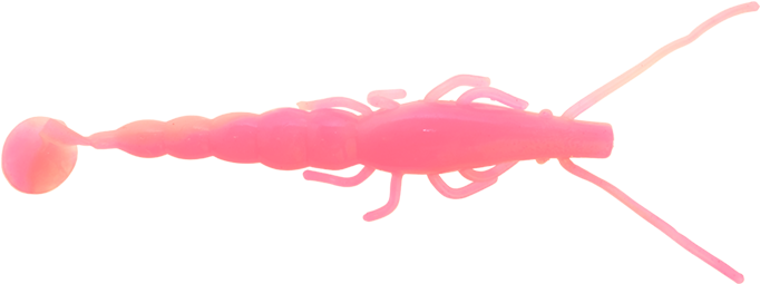 Pink Prawn Transparent Background