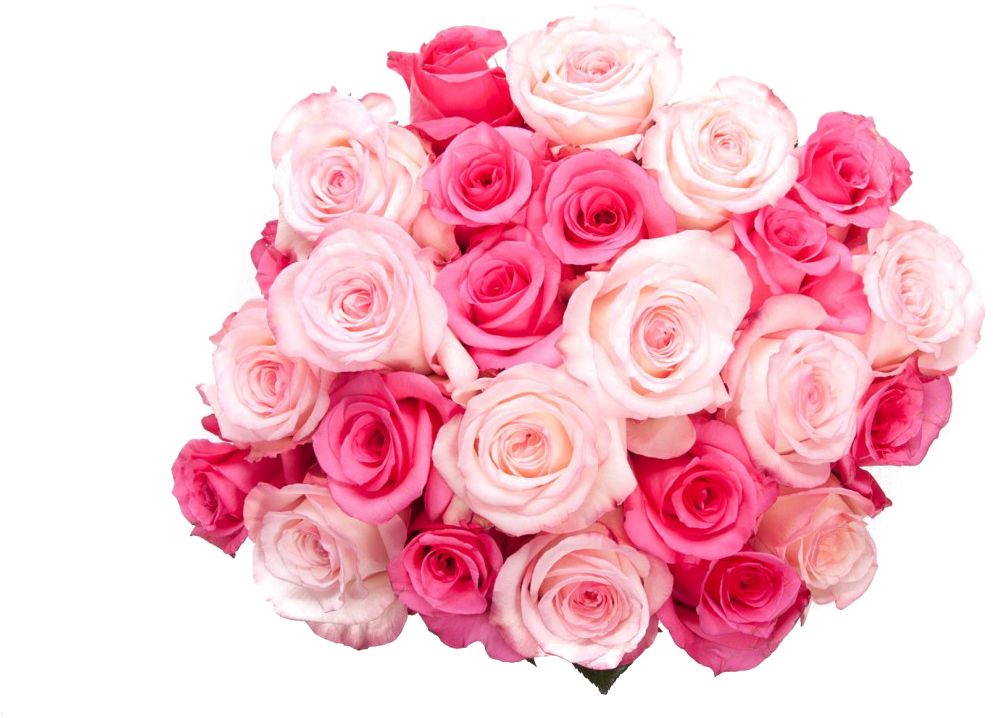 Pink Rose Bouquet Top View