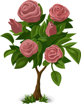 Pink Rose Bush Illustration