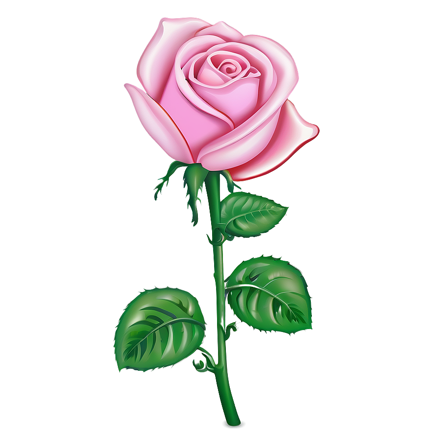 Pink Rose Drawing Png 10