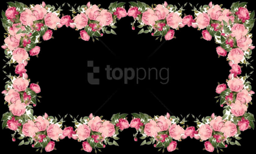 Pink Rose Frame Black Background