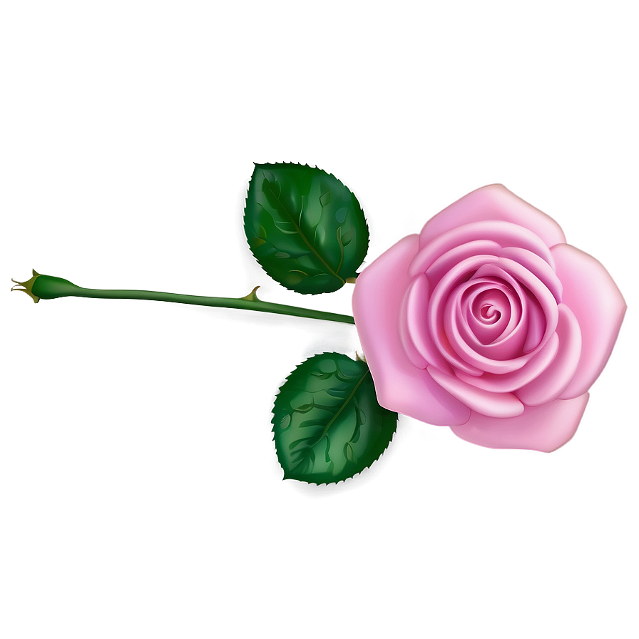 Pink Rose Gift Png Rjv