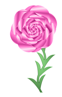 Pink Rose Graphic Art