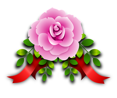 Pink Rose Graphic Black Background