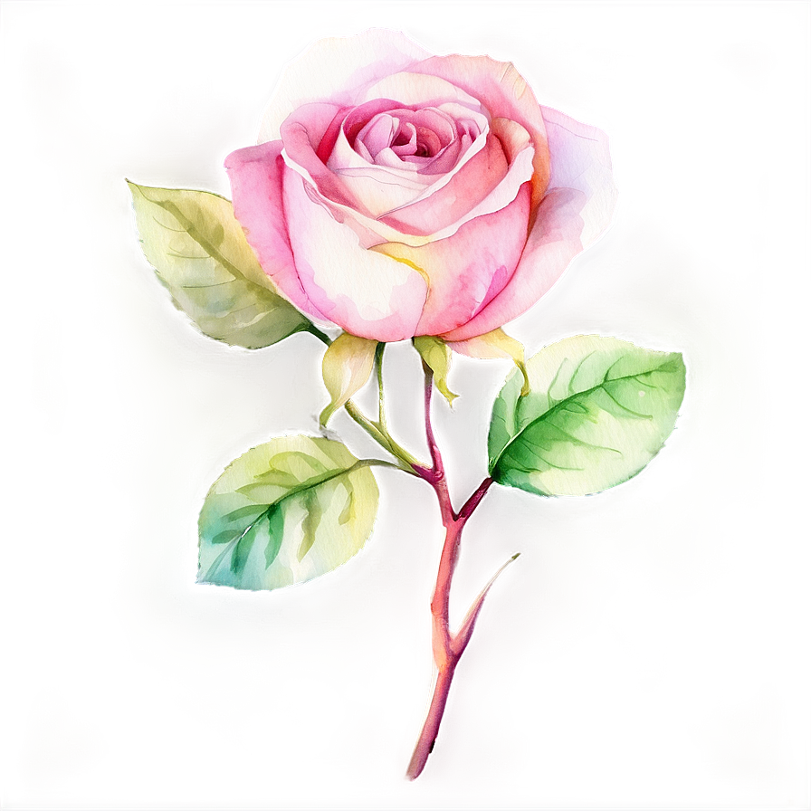 Pink Rose Watercolor Png Eot69